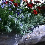 Bed & Breakfast Enzian Saalbach-Hinterglemm