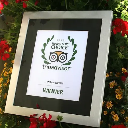 לינה וארוחת בוקר Enzian