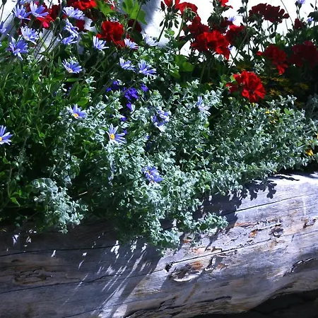 לינה וארוחת בוקר Enzian זאלבך הינטרגלם