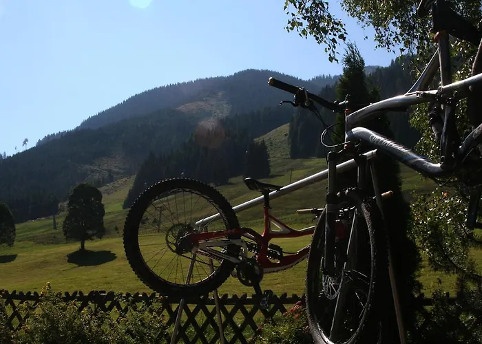 Bed & Breakfast Enzian *